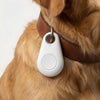 Compact GPS Collar Attachment Tracker