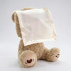 Animated Interactive Plush Bear Toy