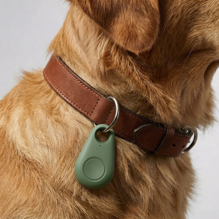 Compact GPS Collar Attachment Tracker