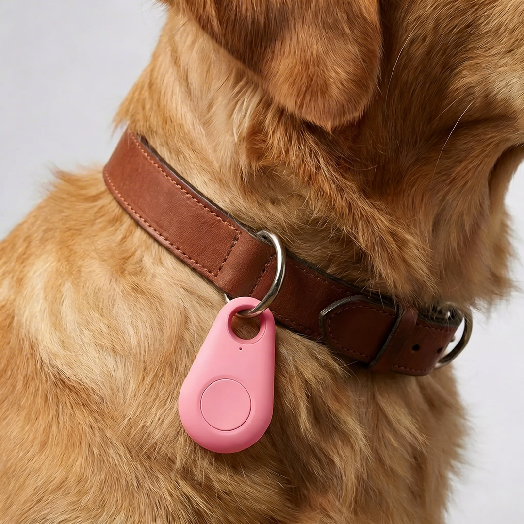 Compact GPS Collar Attachment Tracker