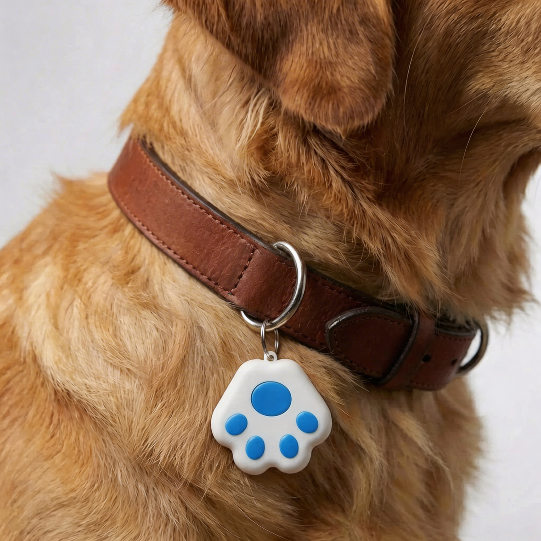 Compact GPS Collar Attachment Tracker