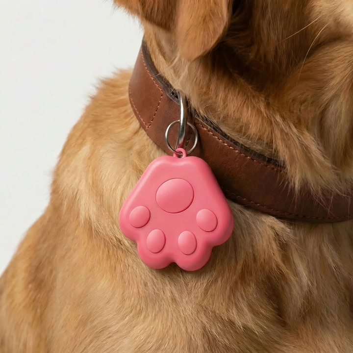Compact GPS Collar Attachment Tracker